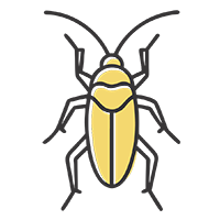 Уничтожение тараканов